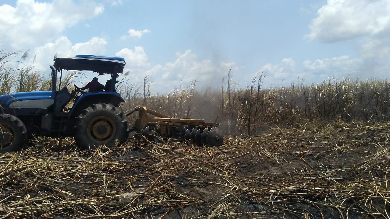 Life returns to Skeldon Estate Guyana Chronicle