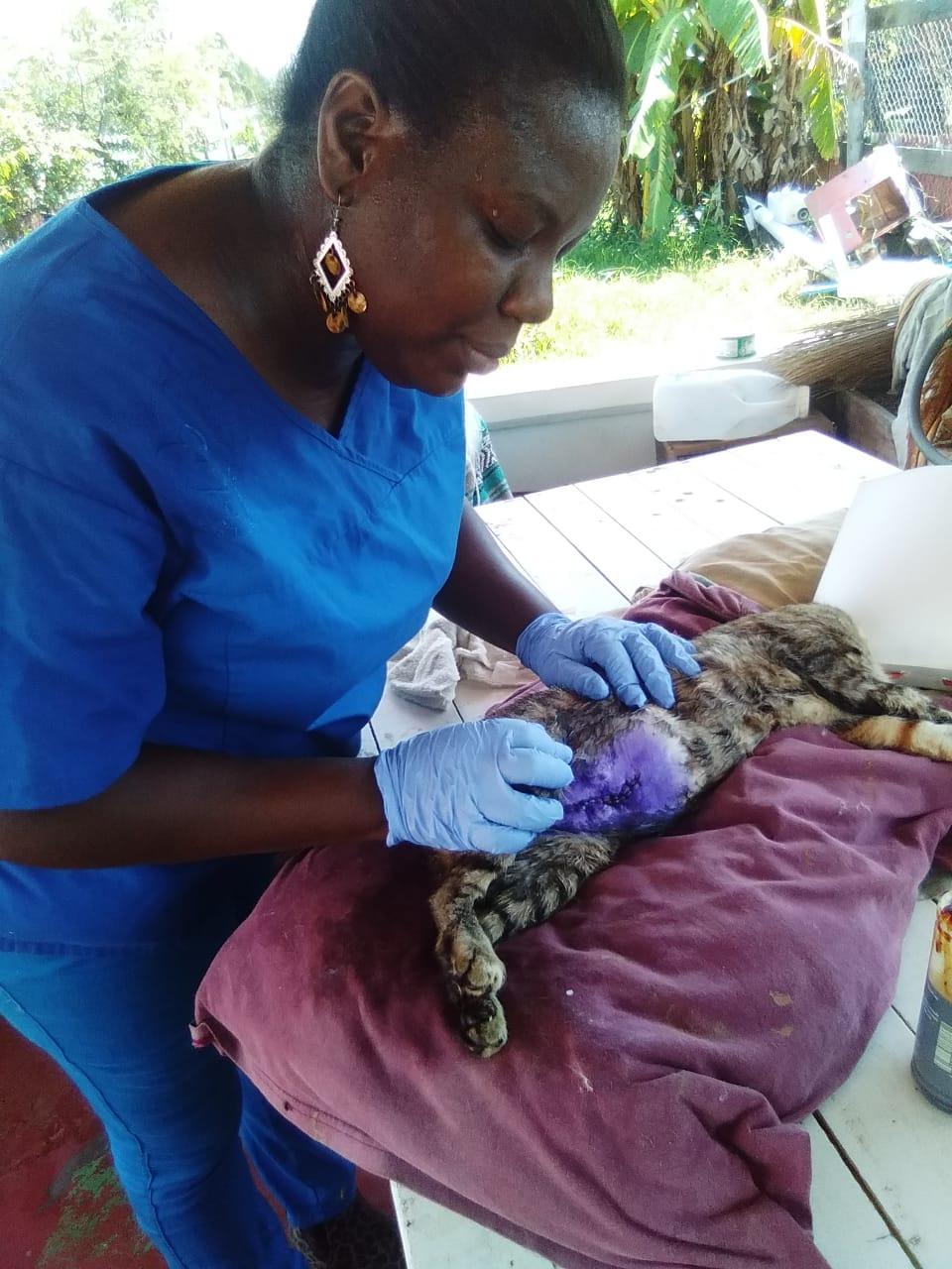 Talking good ol’ country life with Dr. Susan FarleyCharles Guyana