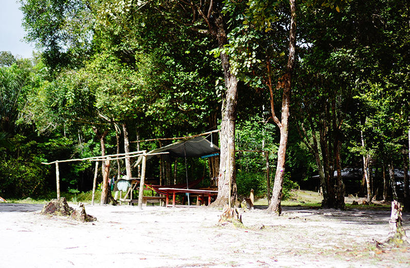 Omega Village/Camp Alpha Guyana Chronicle