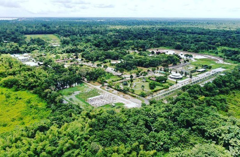 Hyde Park Zoo Guyana Chronicle