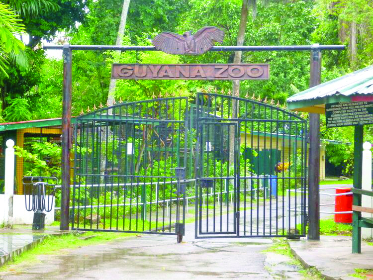 No bids submitted to rehabilitate zoo Guyana Times