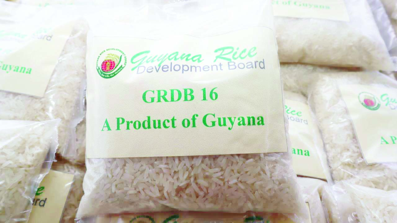 New rice variety GRDB 16 launched Guyana Times