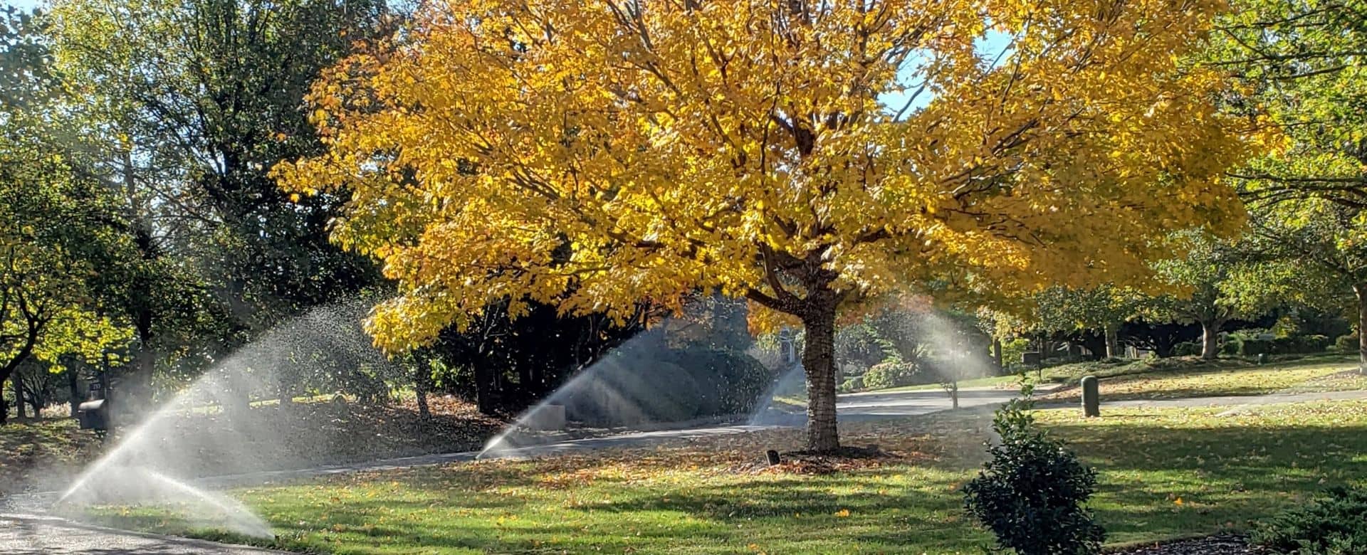 Winterization Service Specialist Near in Smyrna, TN