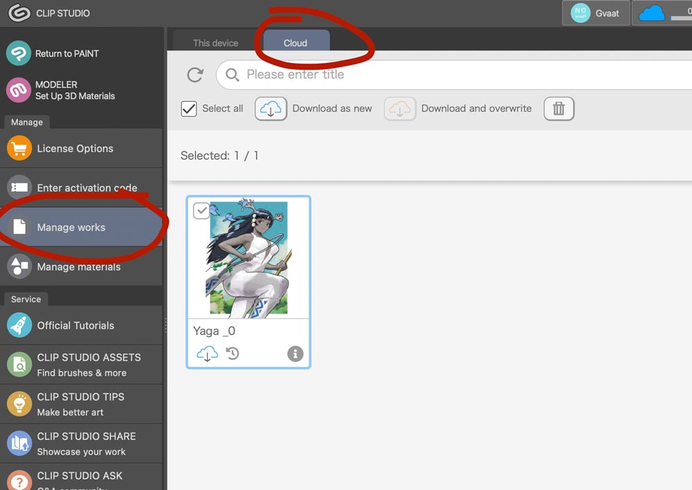 The Ultimate Guide to Clip Studio Paint for Beginners GVAAT'S