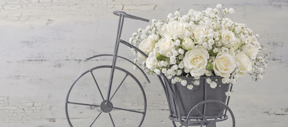 Golden Valley Rose Distributors LLC