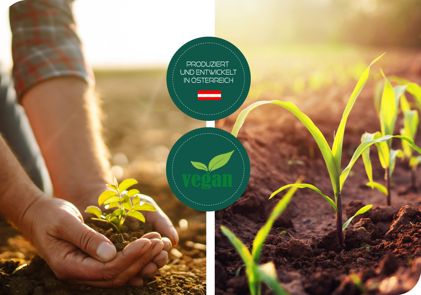 Startseite GREEN VALLEY SOLUTIONS