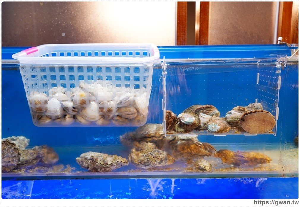 台中首見漂浮松阪豬就在千波苑鍋物，沙鹿海鮮火鍋推薦，270元起還可免費停車