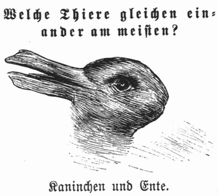 RabbitDuckWittgenstein Gwarlingo