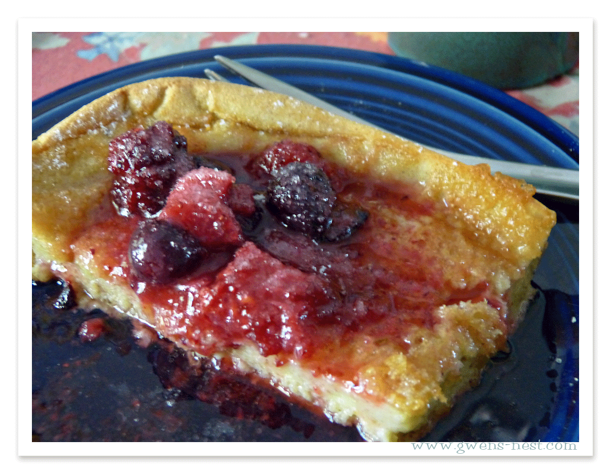 Low Carb German Pancake Recipe Gwen's Nest