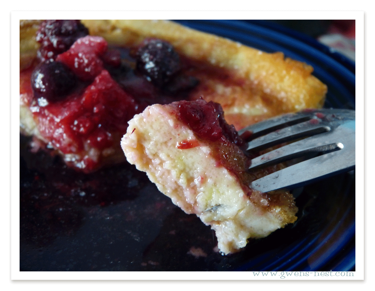 Low Carb German Pancake Recipe Gwen's Nest