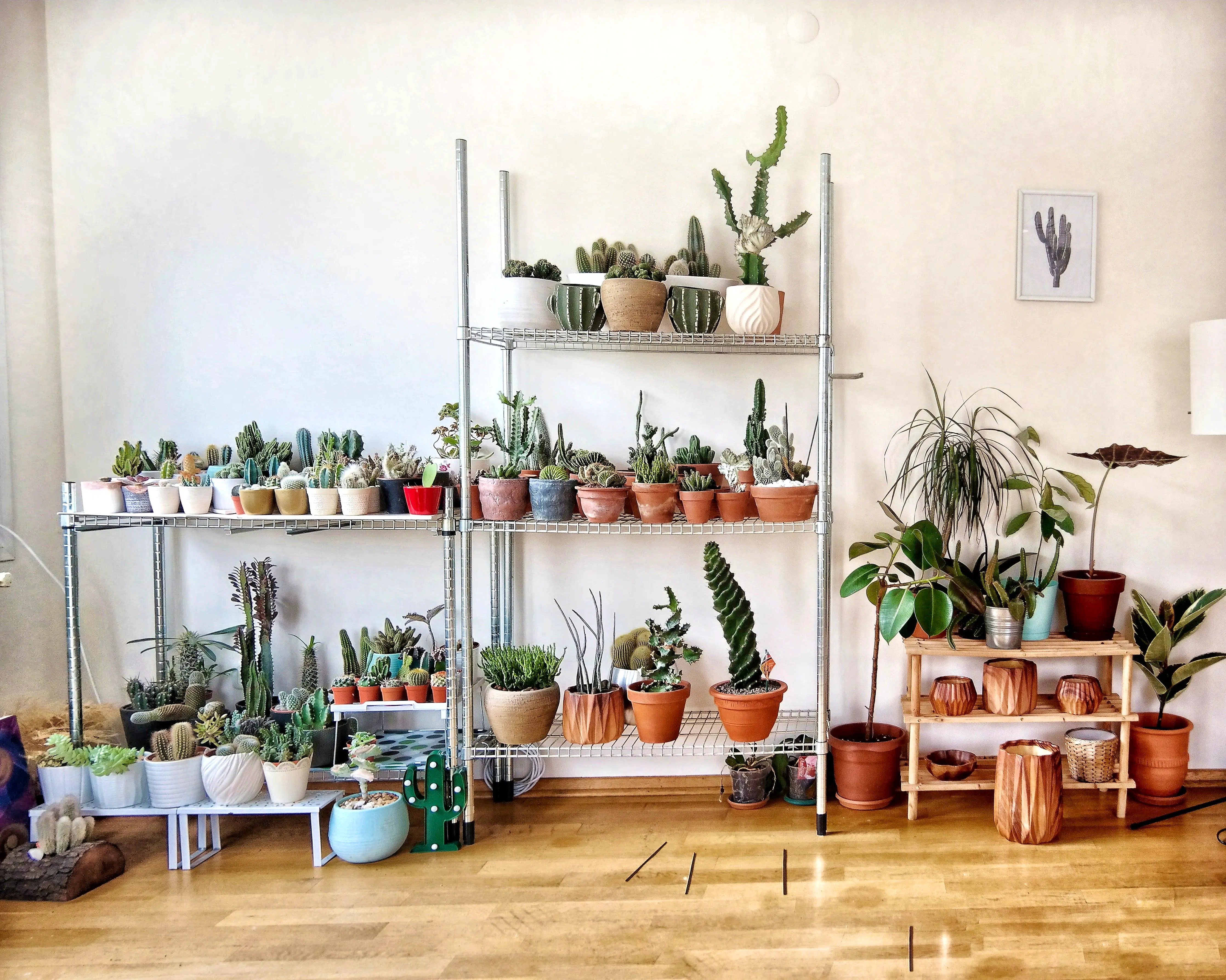 7 Places To Buy House Plants Online The Good  Guide