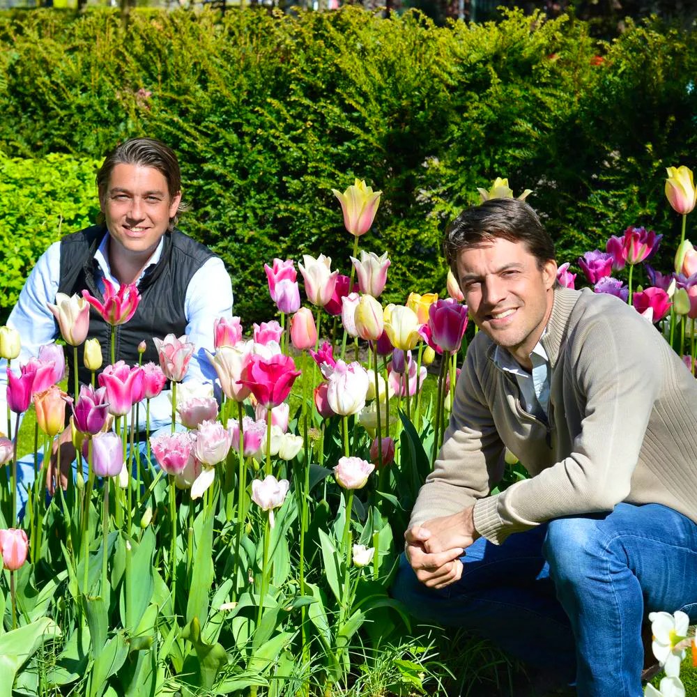 DutchGrown Buy Your Bulbs Direct From Holland The GWG