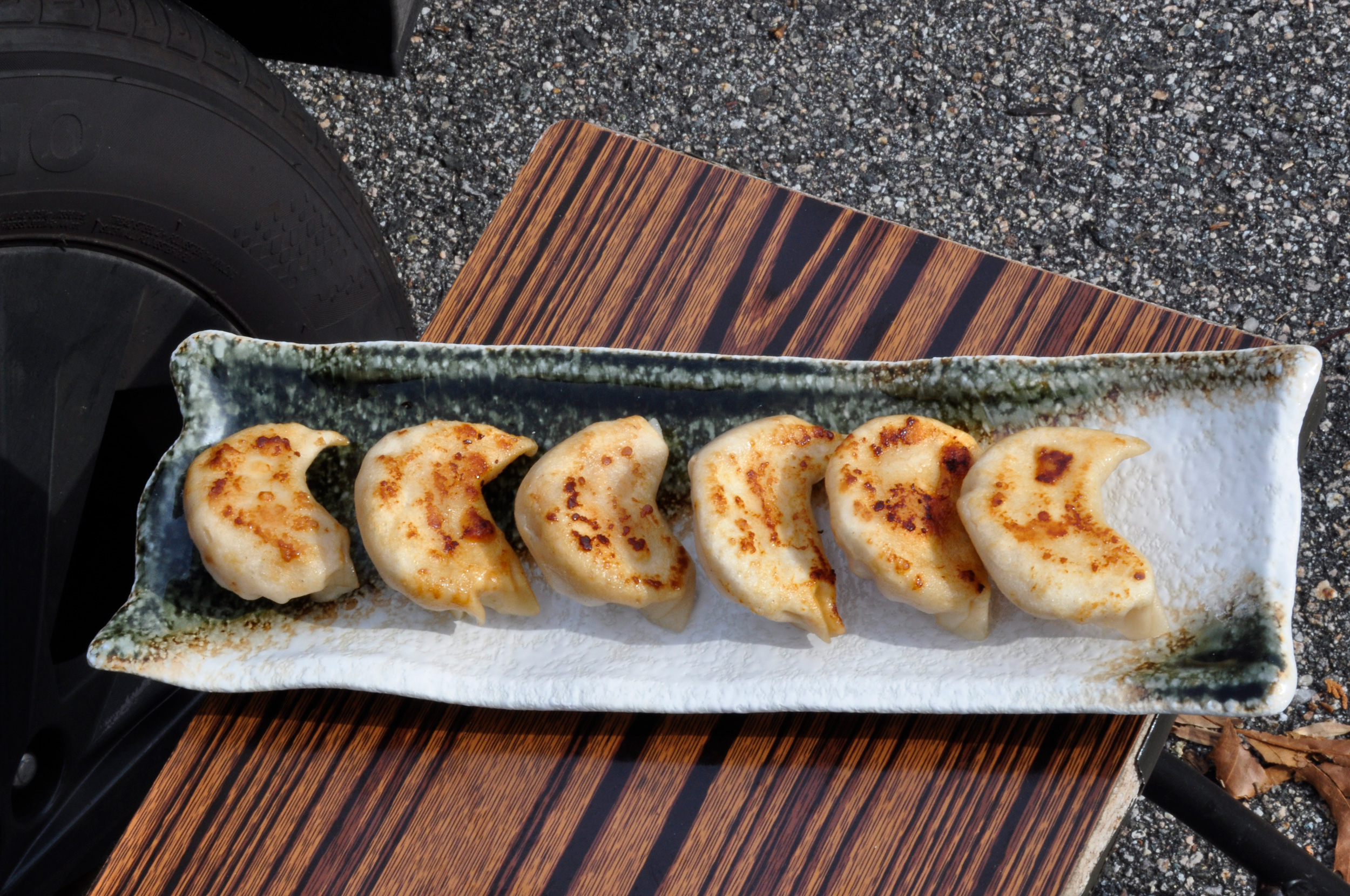 PanFried Dumpling GWI Foods