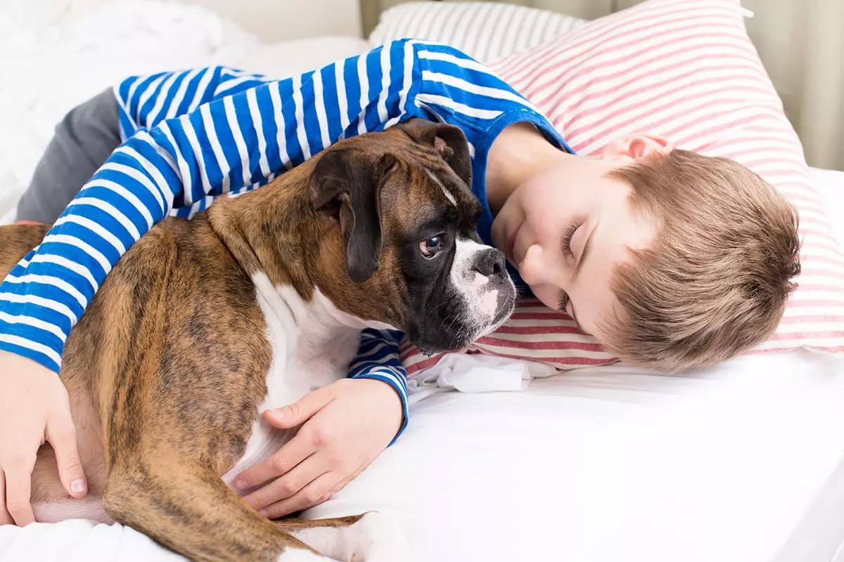 Unwavering Devotion: How Dogs Transform Our Lives with Silent Wisdom and Endless Loyalty