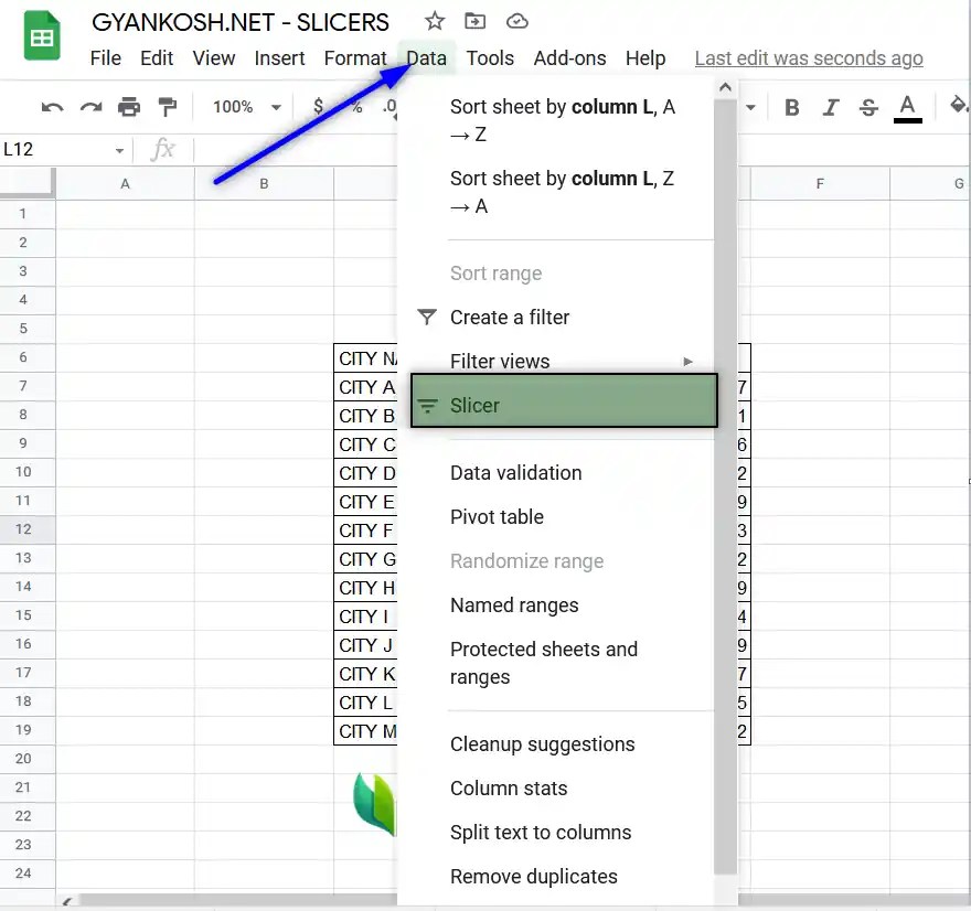 What is a Slicer? How to use Slicers in Google Sheets ? [SOLVED]