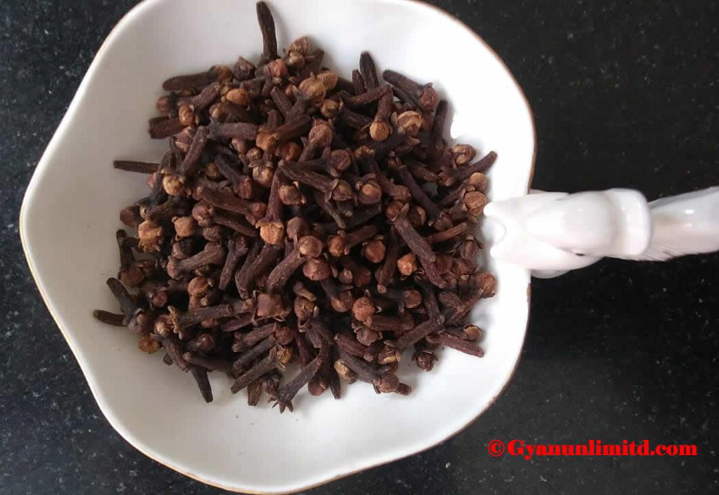 Top 15 Wonder Benefits of Eating Cloves (Syzygium aromaticum)