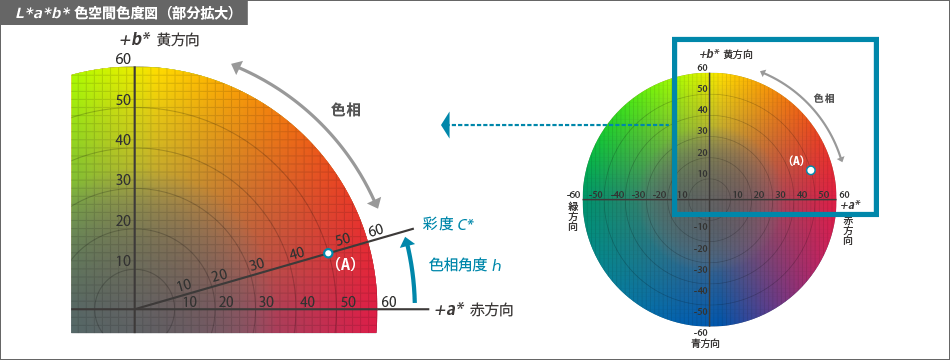 L*C*h色空間 基素基