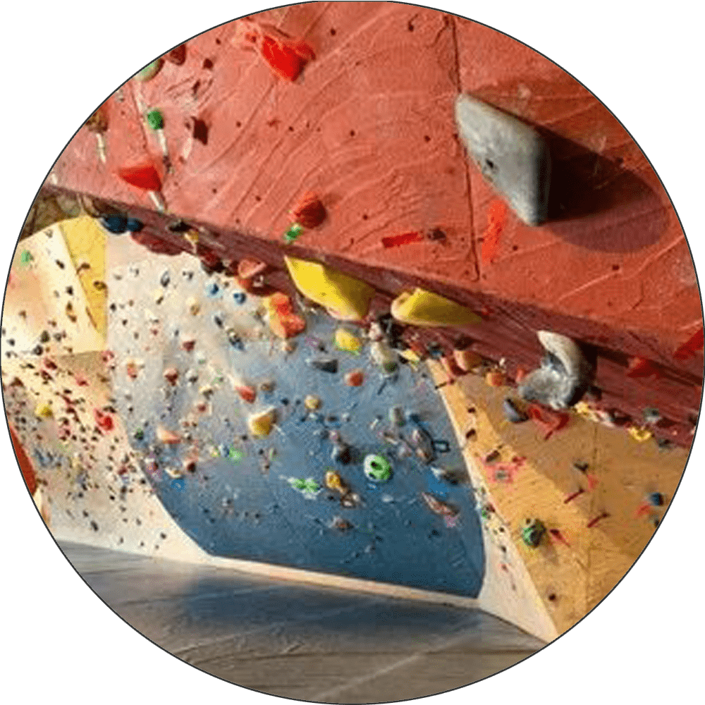 Home GYM Constructor