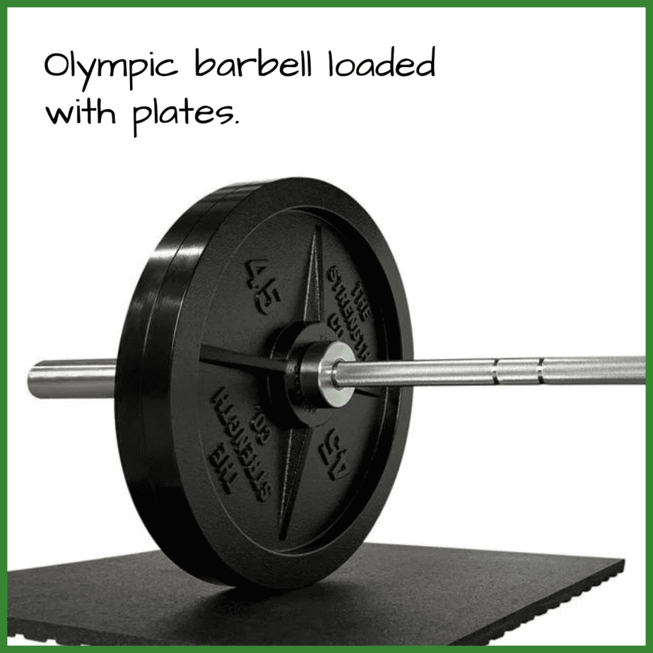 Every Standard Garage Gym Barbell Explained w/ Pictures