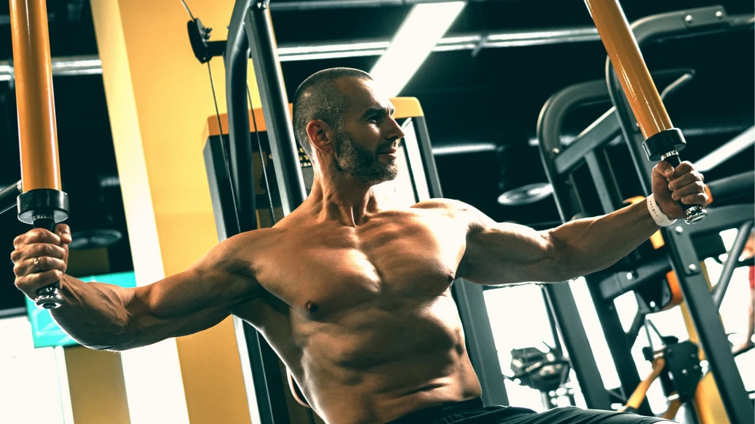 Chest Exercises Gym Geek