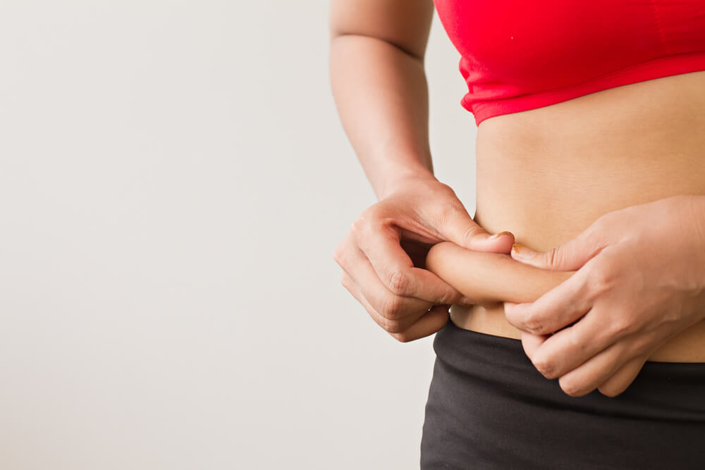 How to Get Rid of Love Handles & Lower Belly Fat GymJunkies