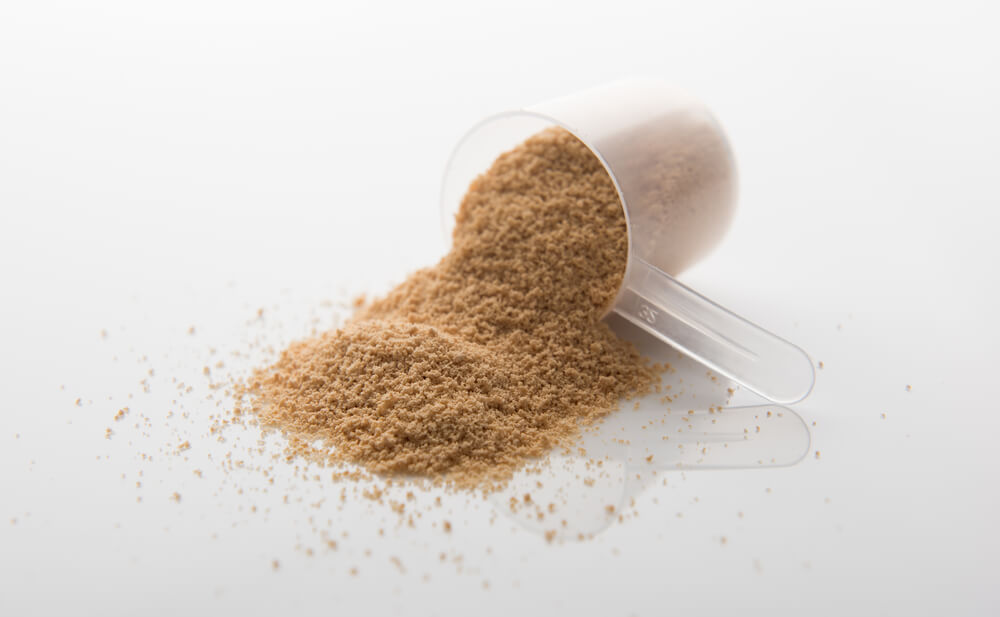 Paleo Protein Powder Everything You Need to Know Gym Junkies