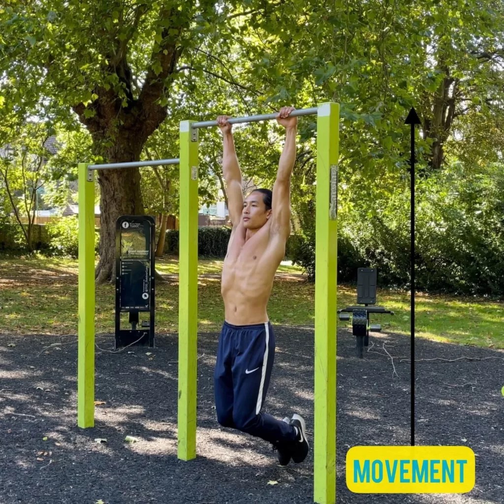 Concentric vs Eccentric vs Isometric Contraction Differences and