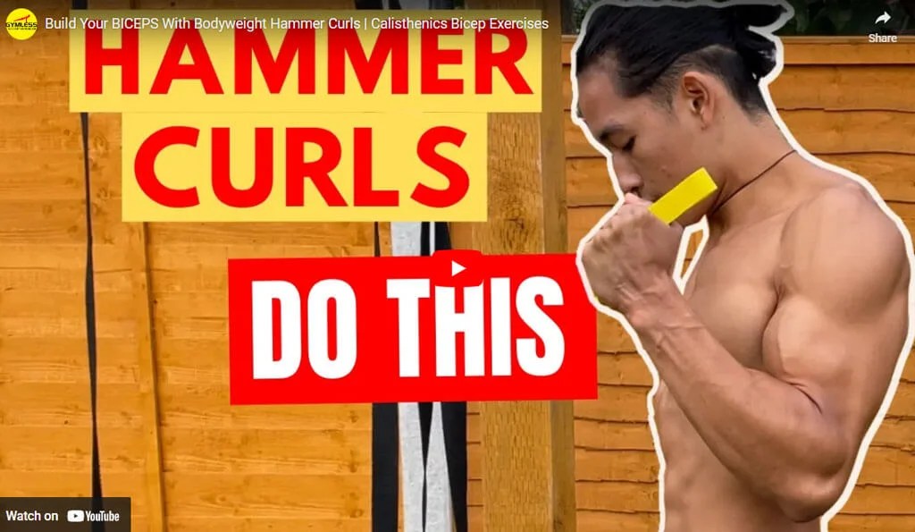 Hammer Curls What Are They? Muscles Worked? Benefits? Gymless