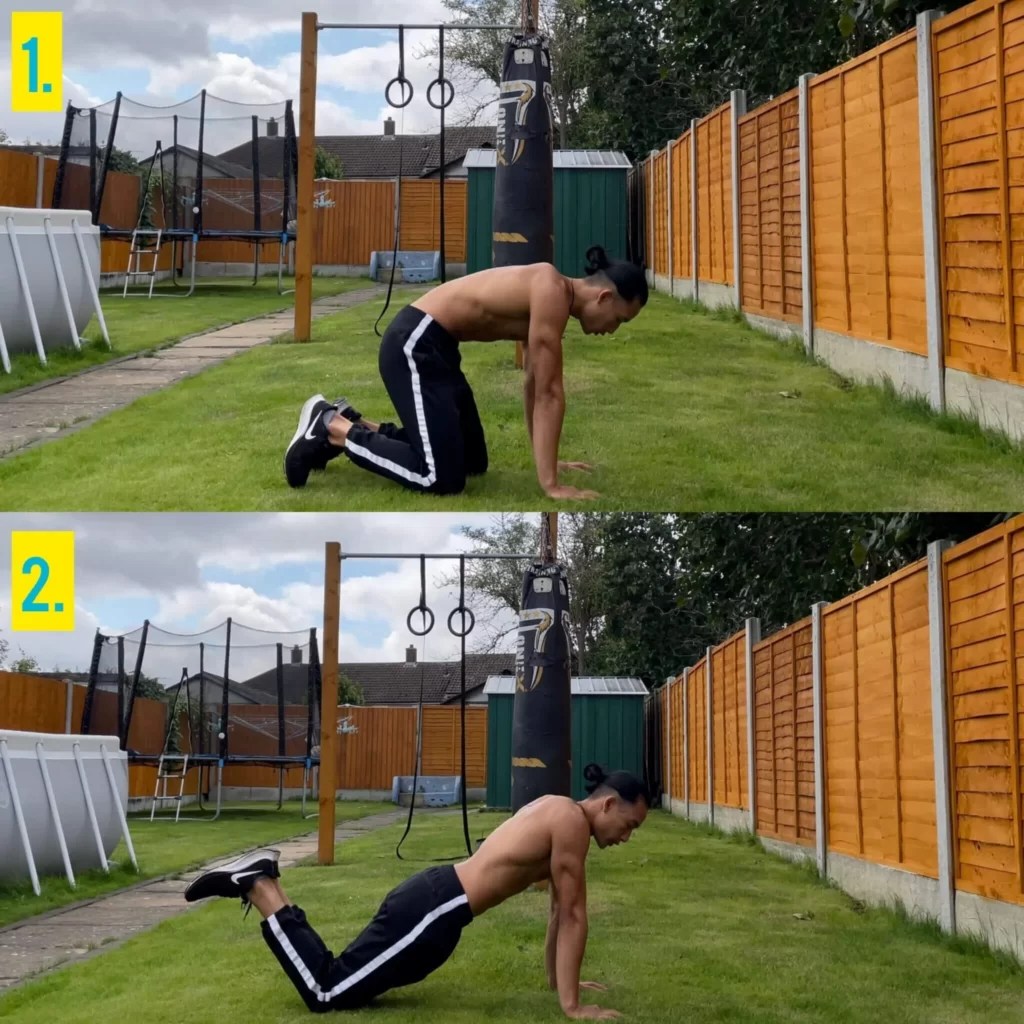 Knee Push Ups How to do Knee Push ups Gymless
