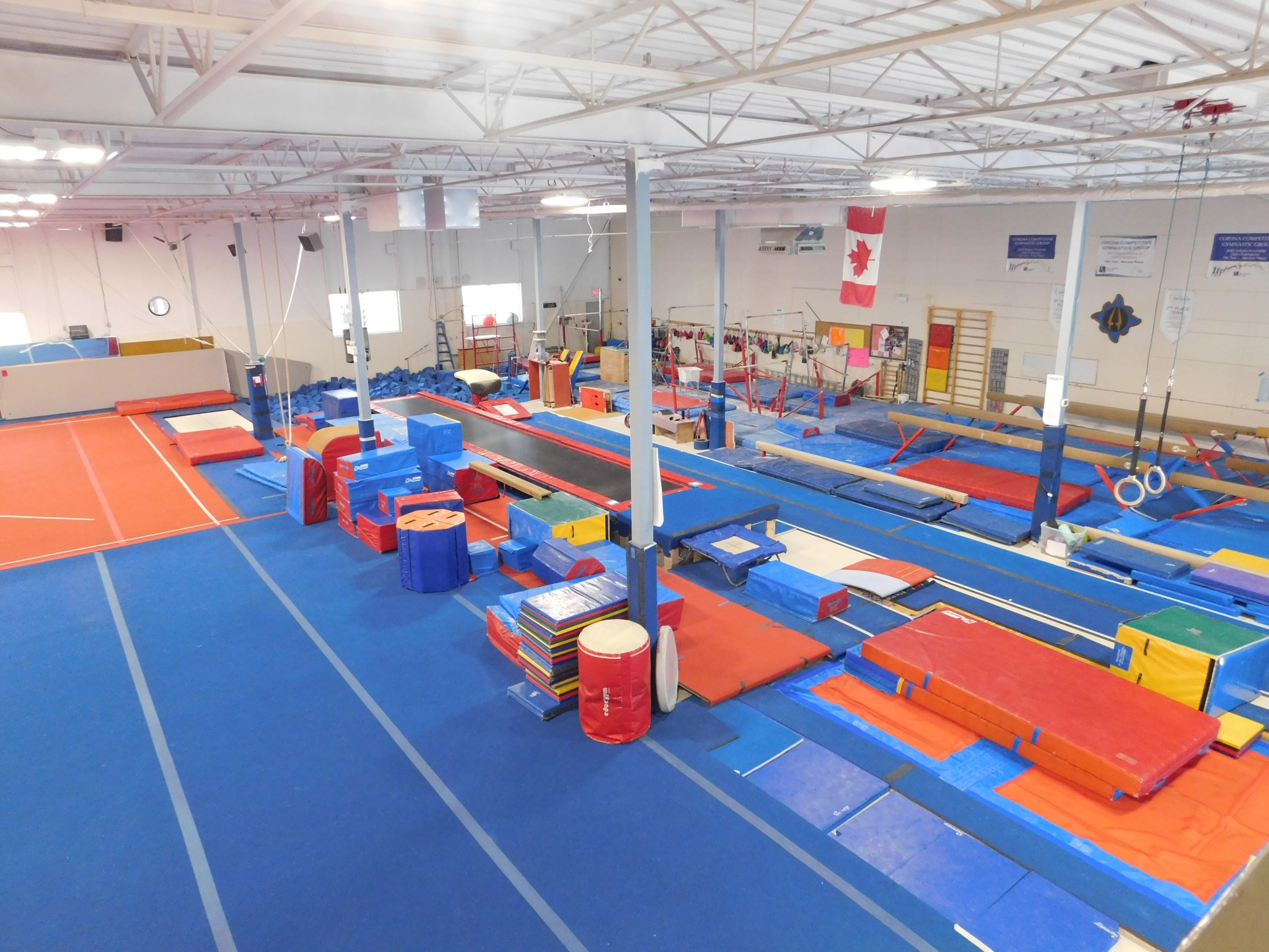 Coach in Ottawa, Canada Gymnastics