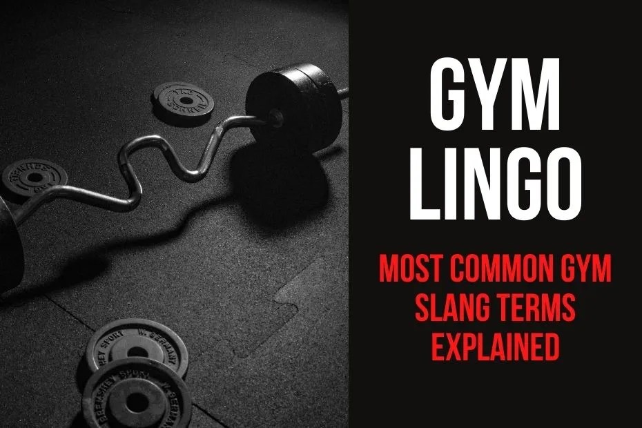 Gym Lingo Most Common Gym Slang Terms Explained >