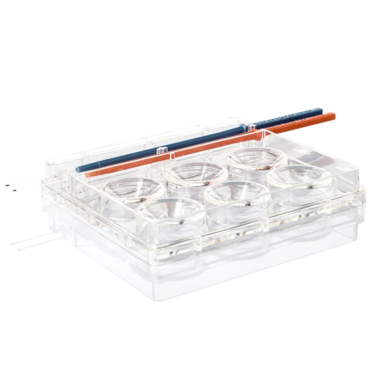 Cryotop Open System GYNEMED GmbH & Co. KG