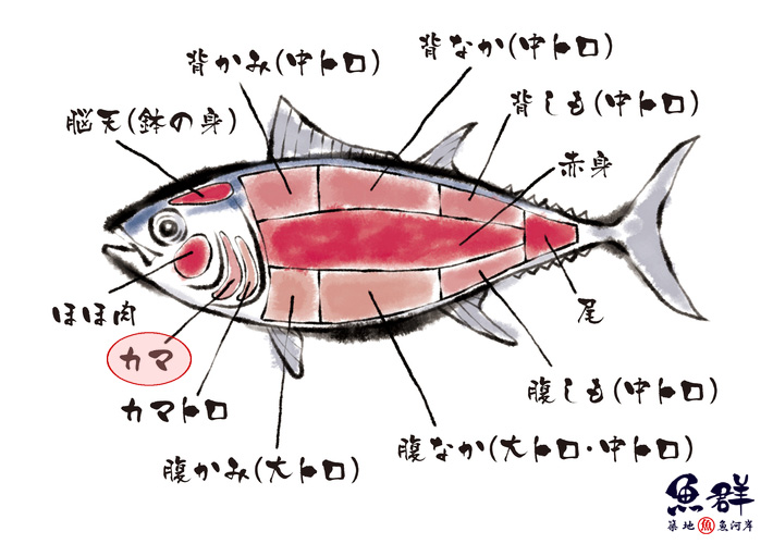 マグロ カマ 1kg【冷凍便】の通販・お取り寄せ「築地魚群」
