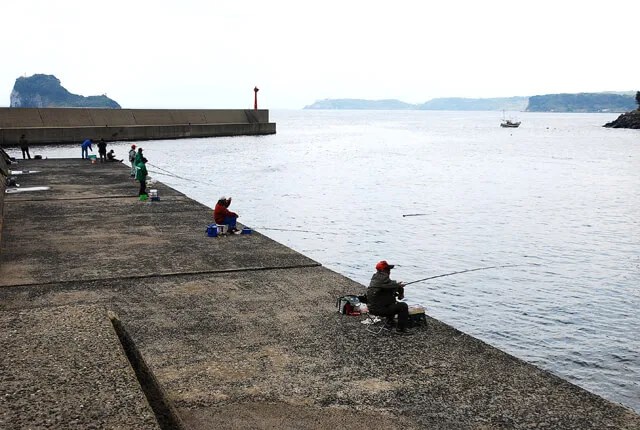 [最も欲しかった] 呼子 港 釣り 141344呼子 釣り 港