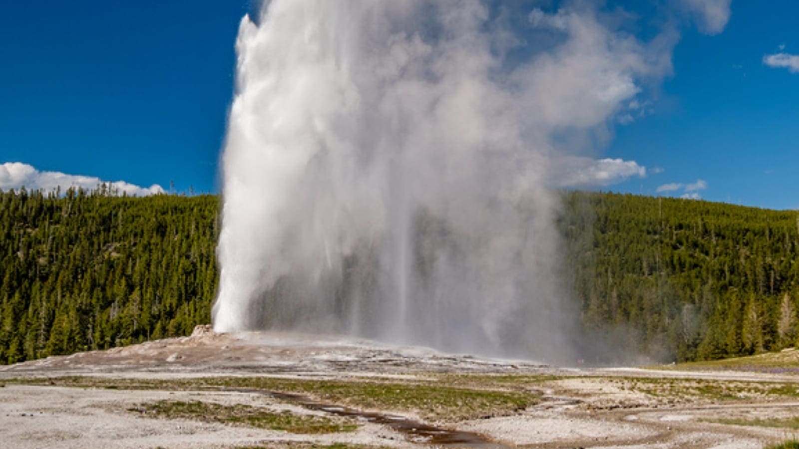 How to Plan a Yellowstone National Park Trip GyPSy Guide