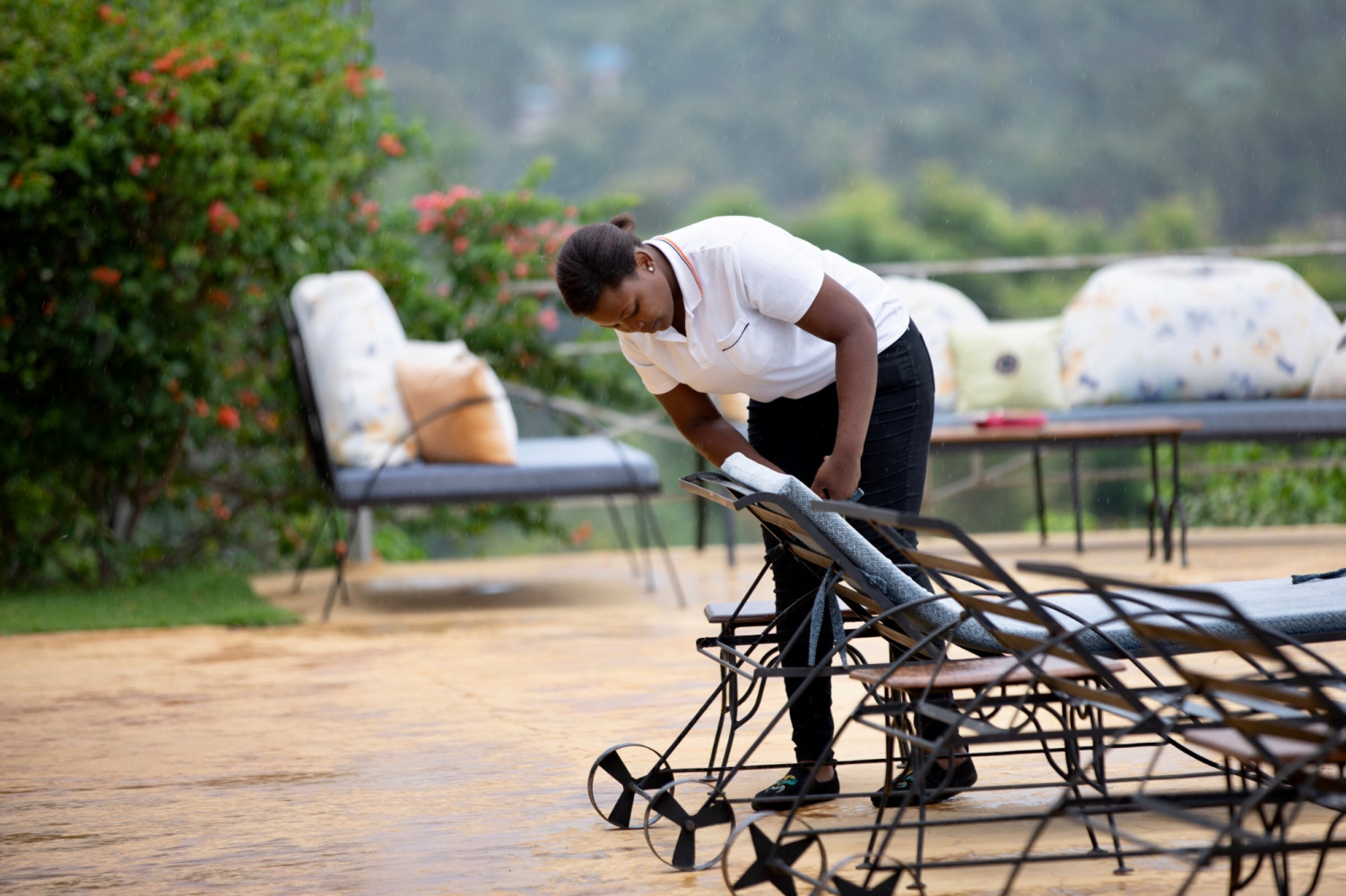 Pink Flamingo Boutique Hotel Moshi, Tanzania Best Price Guarantee