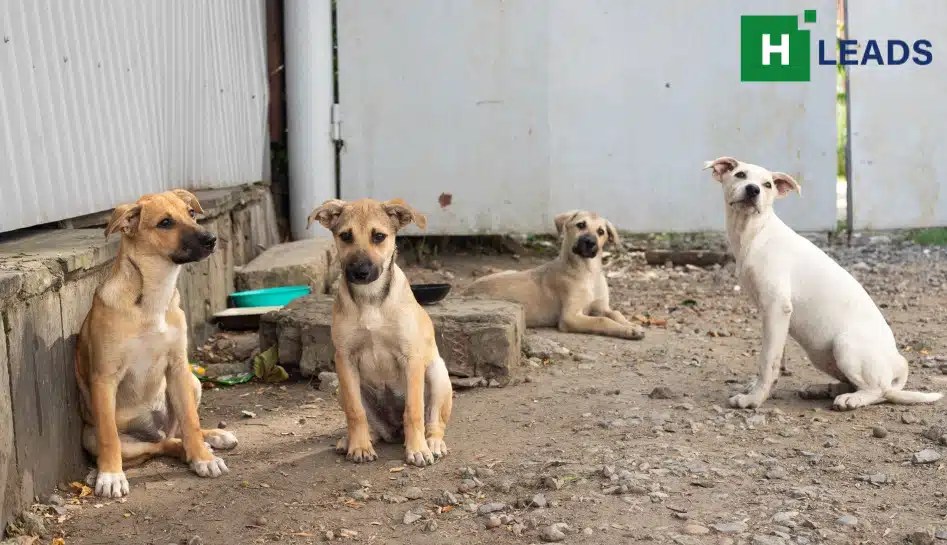 Legal victory for dog meat eaters Gauhati High Court overturns