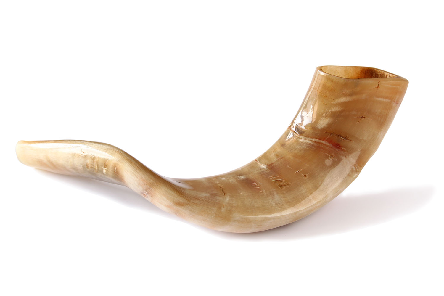 Shofar HNT