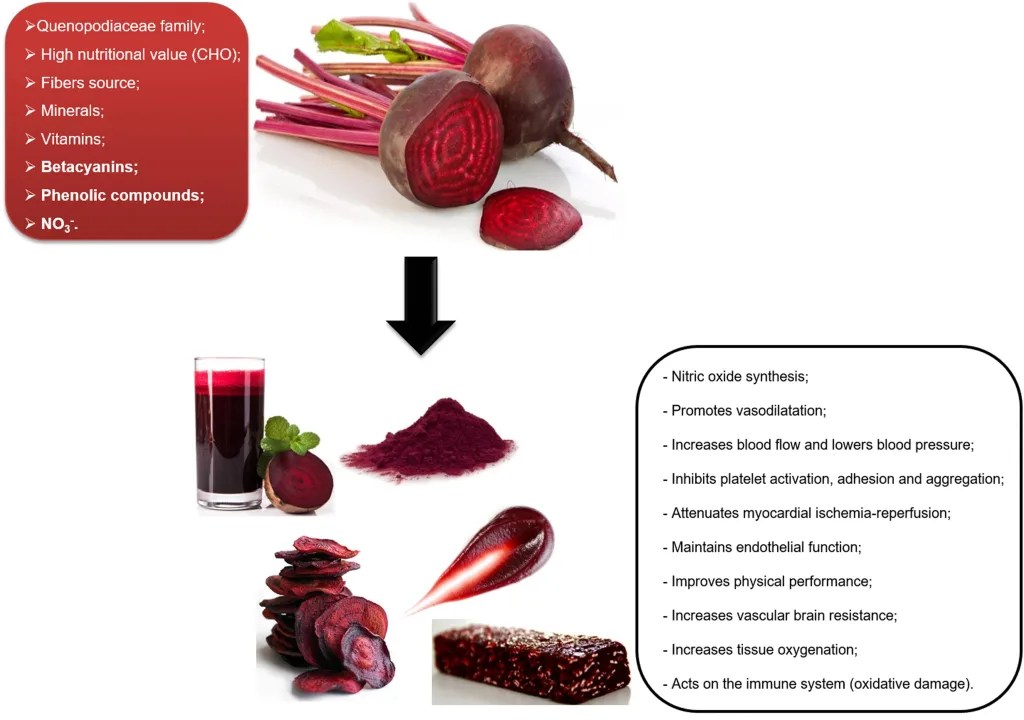 All You Need to Know About Low FODMAP Beets
