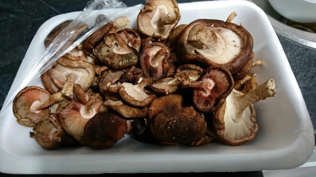 Storing Tips to Ensure Shiitake Mushroom Freshness
