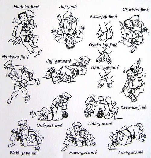 Bras Anatomie, Physiologie, Douleurs Passeport Sante