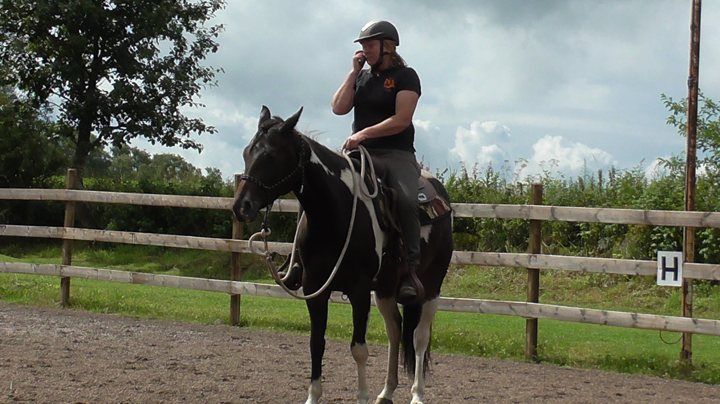 Westernridning hasteriet