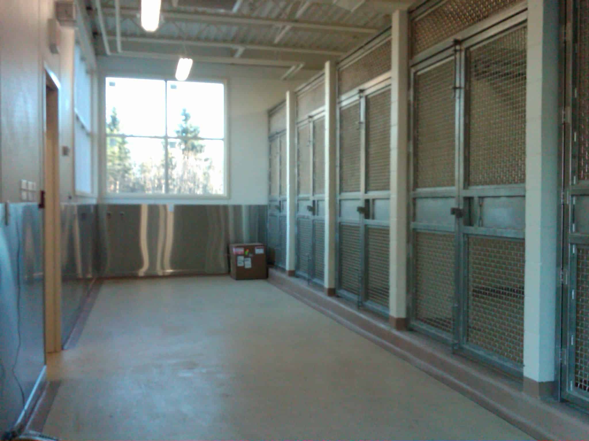 Zoo Vet clinic H2 Architecture Ltd