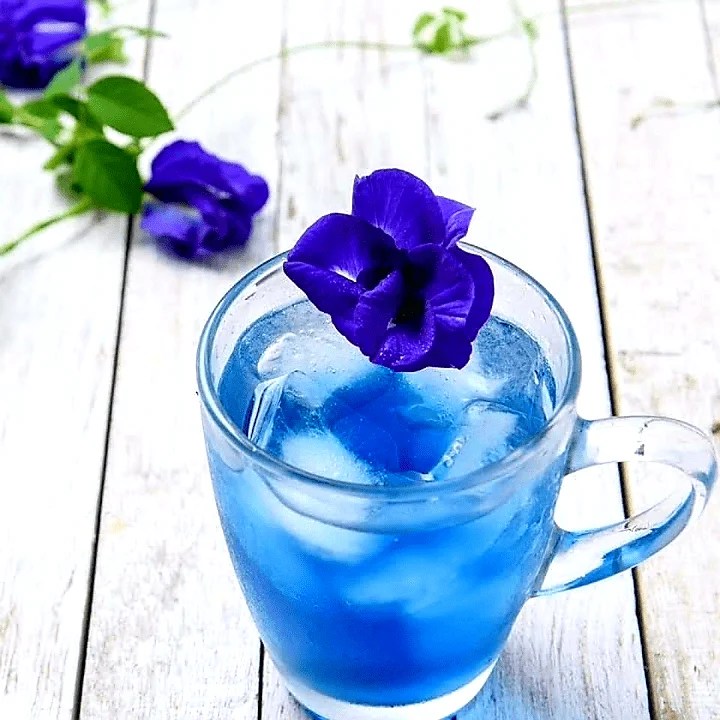 Butterfly Pea (Blue Tea) h2obeautystudio