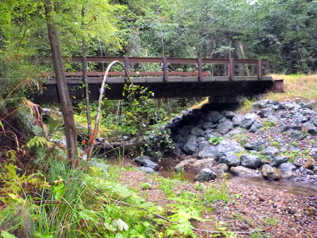 Michael Love and Associates, Inc.