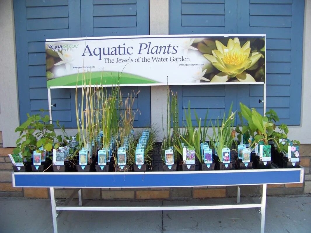 Outdoor LivingPond Supply StoreLexingtonCentral KentuckyKY