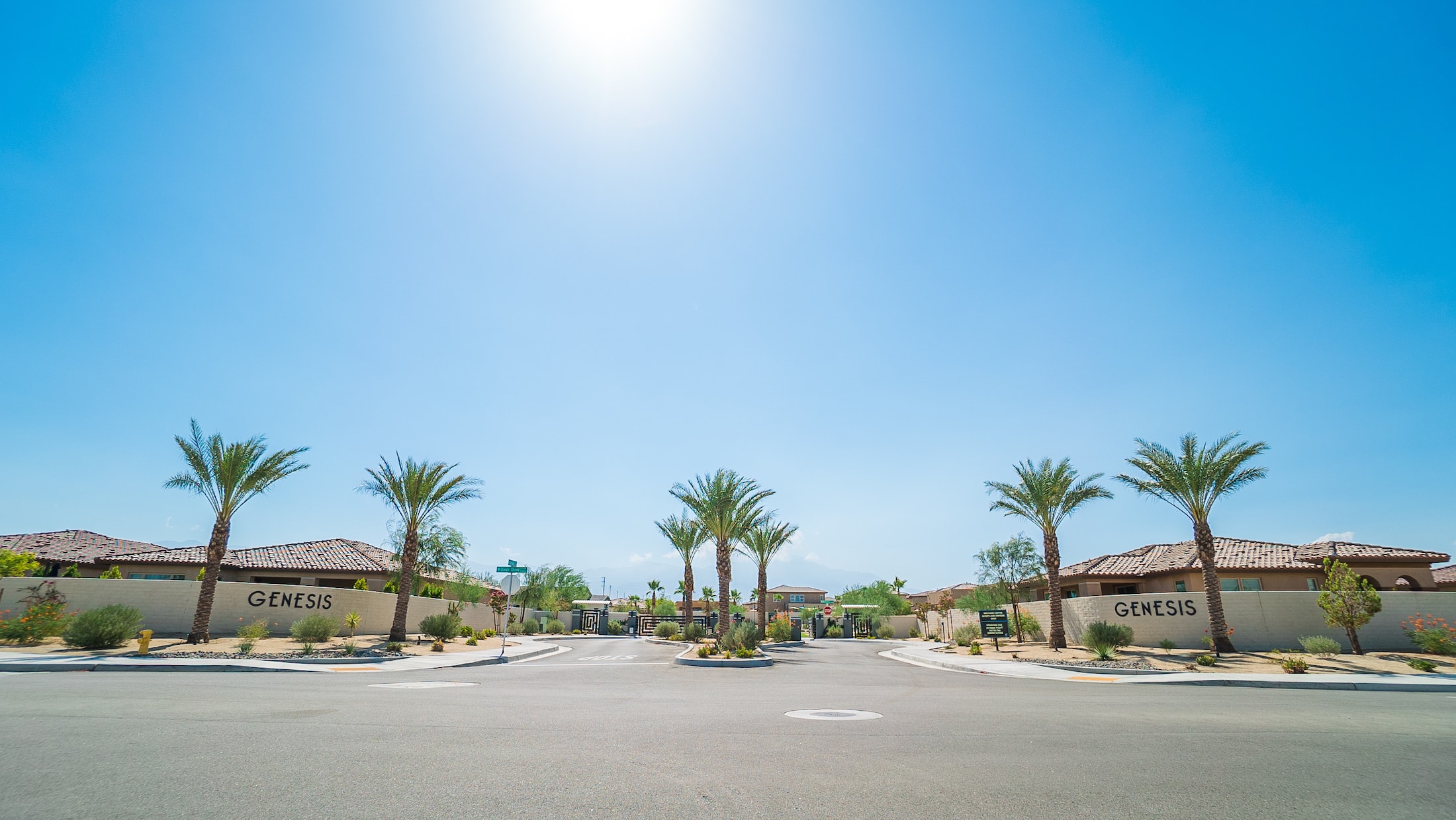 H2O Landscape & Maintenance Genesis Millennium Palm Desert