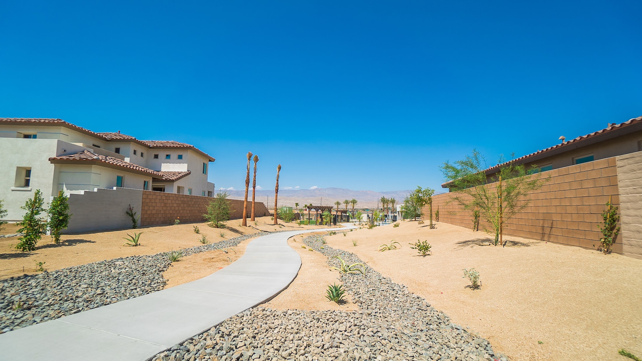 H2O Landscape & Maintenance Genesis Millennium Palm Desert