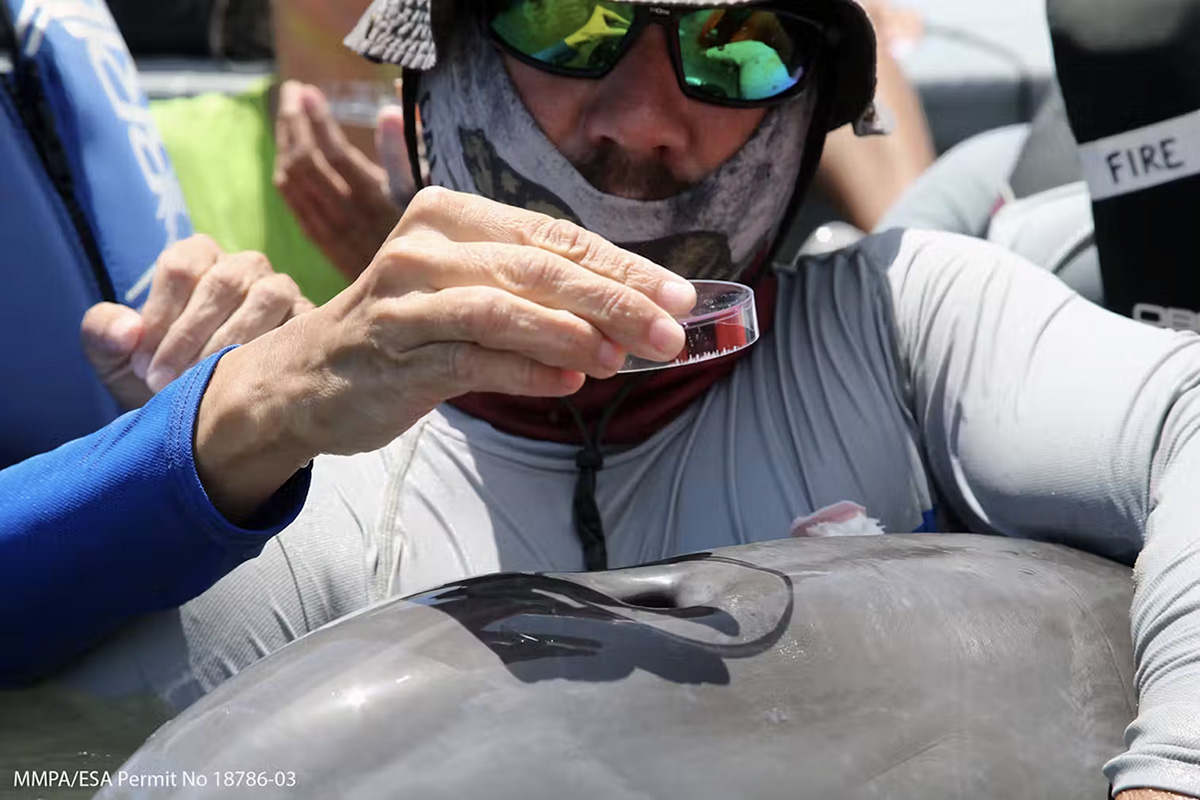 Could This Group of Voters Decide the Election? H2O Radio