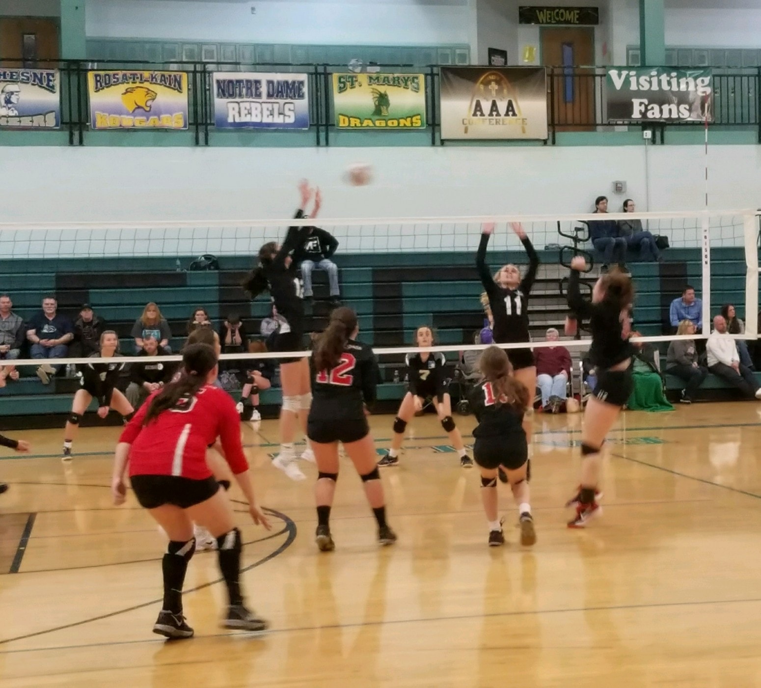 Small, But Steady Steps H2 Saint Louis Volleyball